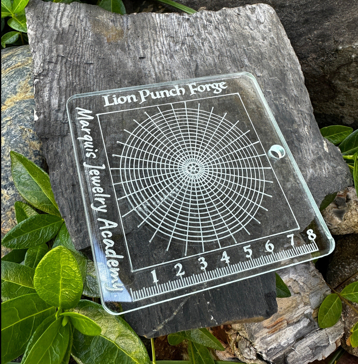 Circle pattern grid template (Acrylic) - Clay Revolution