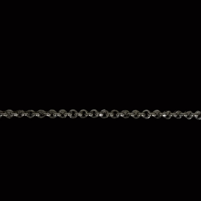 Chain: Stainless Steel Rolo 3mm