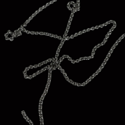 Chain: Stainless Steel Rolo 3mm
