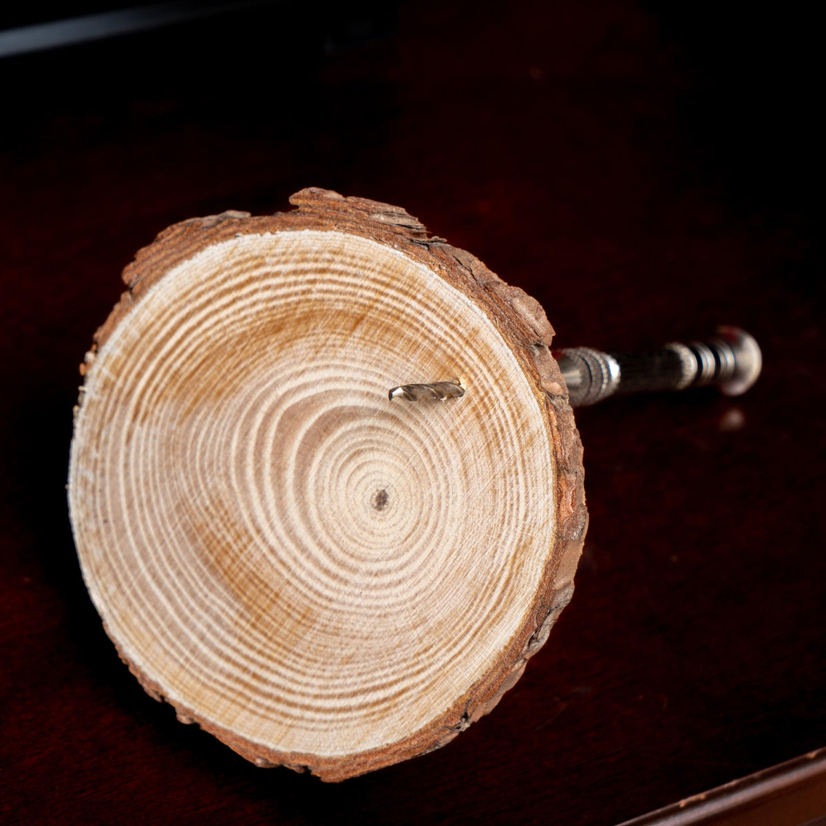 Pine Wood Bark Slices - Clay Revolution