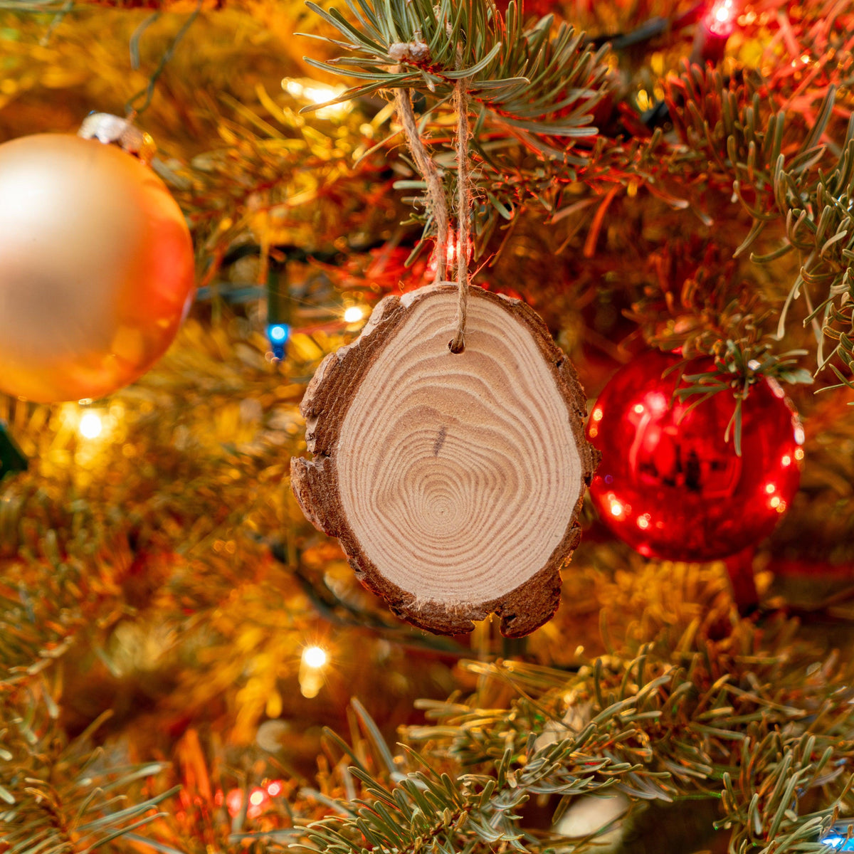 Pine Wood Bark Slices - Clay Revolution
