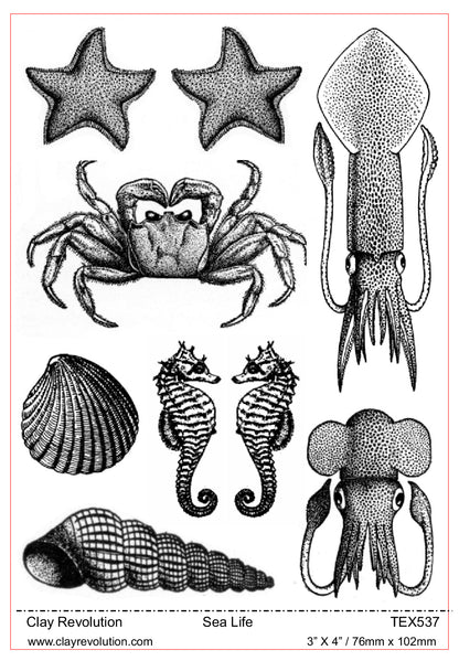 Sea Life Texture Sheet