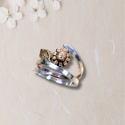 Secret Garden: Mixed Metal Ring with Carrie Story 2-3-27 Tucson