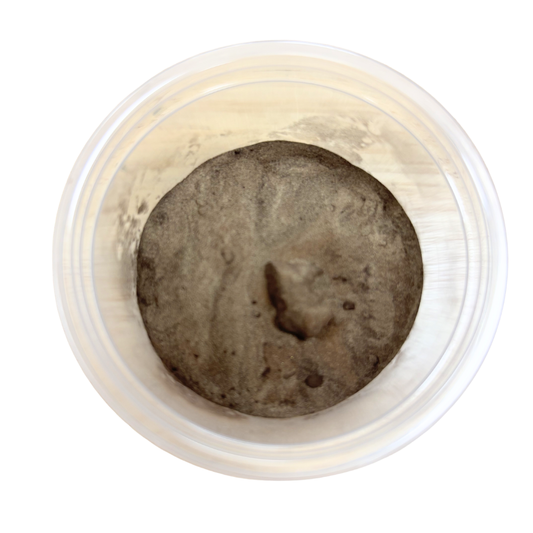 Bronze Powder