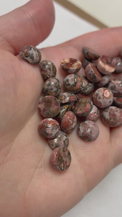 Leopard Skin Jasper 10mm Round