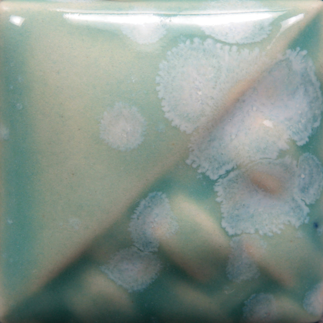 Mayco Glaze SW-150 Stoneware Celadon Bloom (16 fl oz) - Clay Revolution