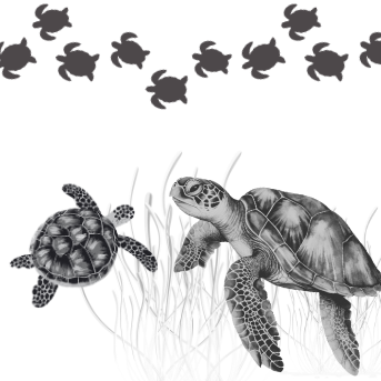 Project X Hot Rollers Turtles - Clay Revolution