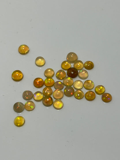 Mexican Fire Opal - Clay Revolution