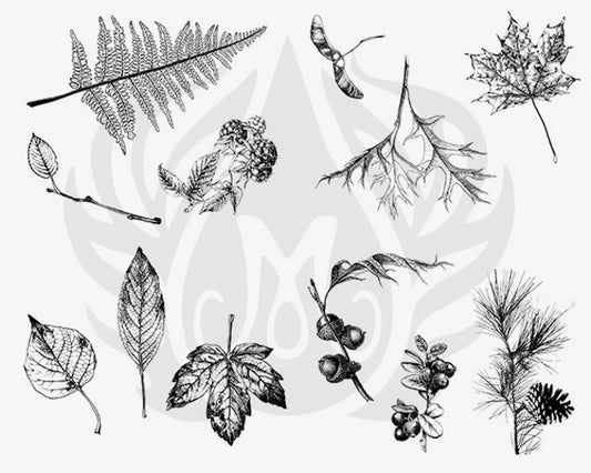Botanical Leaves Silkscreen - Clay Revolution