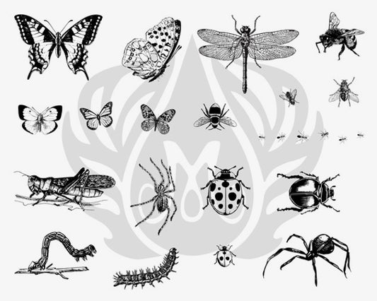 Bugs Silkscreen - Clay Revolution